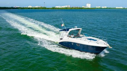 31' Sea Ray 2011 Yacht For Sale